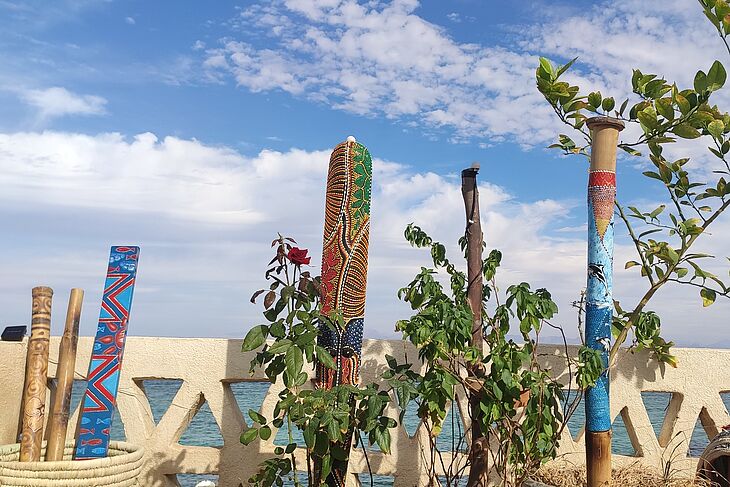 A collection of garden sensors of original design in cases made of natural materials from our Middle Eastern representative office