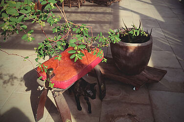 Furniture for an adobe house from a local manufacturer. Stool in the shape of a camel saddle